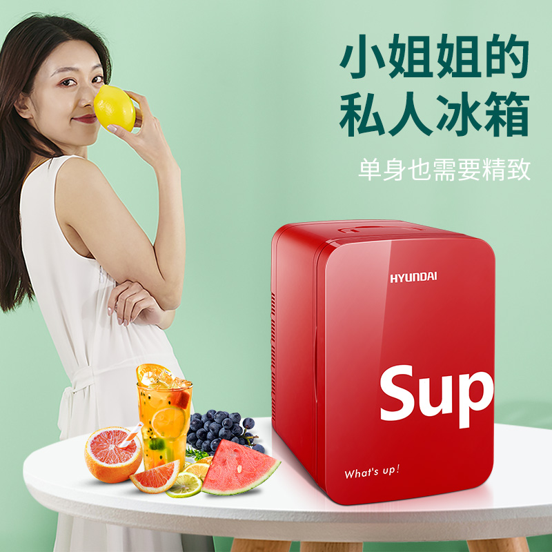 车载小冰箱迷你一人家用制冷小型宿舍母乳美容化妆品冷暖藏箱租房