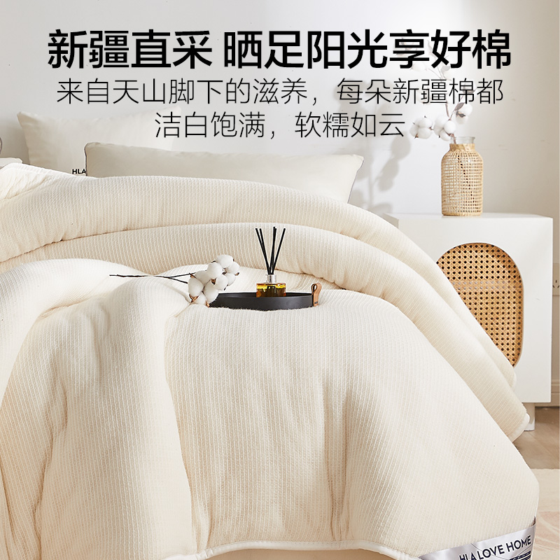 海澜之家新疆纯棉花被子加厚全棉冬被芯褥子棉胎春秋棉絮铺底床垫 - 图0