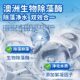 Fish tank algae removal tablets, green algae and moss removal artifact, fish tank removal of green water, brown algae, filamentous algae, black algae, fish tank water purification