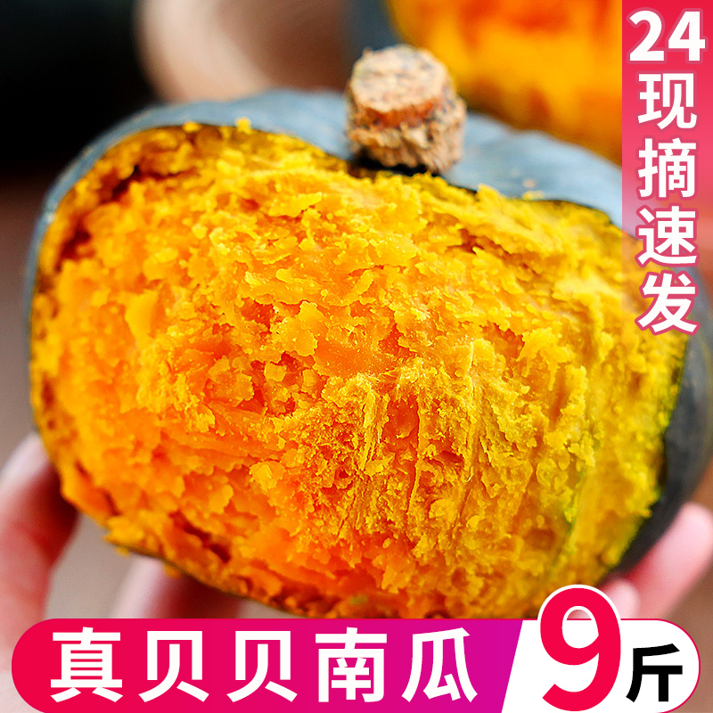 贝贝南瓜板栗味贝贝小南瓜栗面老瓜正宗正品新鲜9斤婴儿粉糯香甜