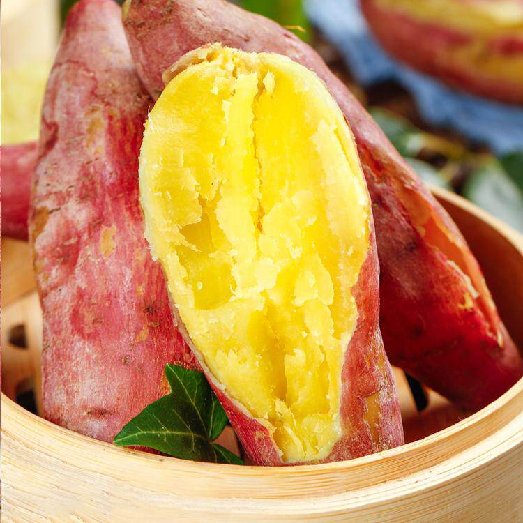 陕西临潼板栗红薯蜜薯现挖新鲜地瓜番薯农家自种小香薯非桥头地瓜