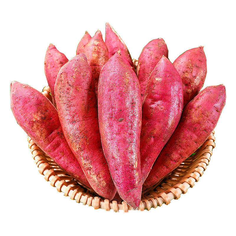 板栗红薯新鲜地瓜番薯蜜薯黄心5斤农家自种沙地烟薯现挖香薯山芋