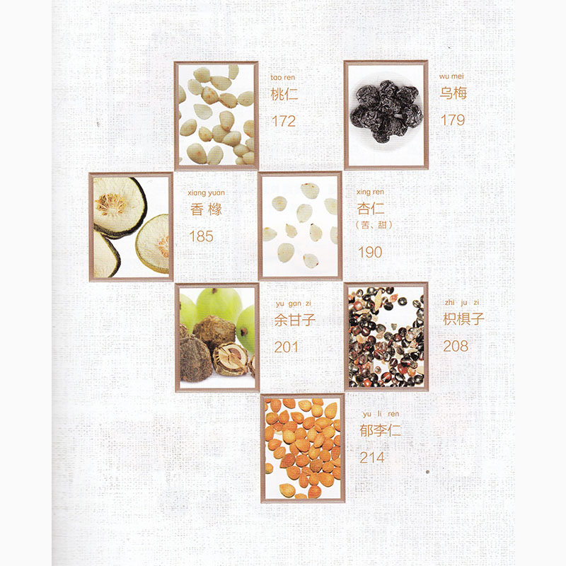 正版现货 药厨味道 果品食养全家健康 中国医药科技出版社 丁兆平 丁明升 - 图3