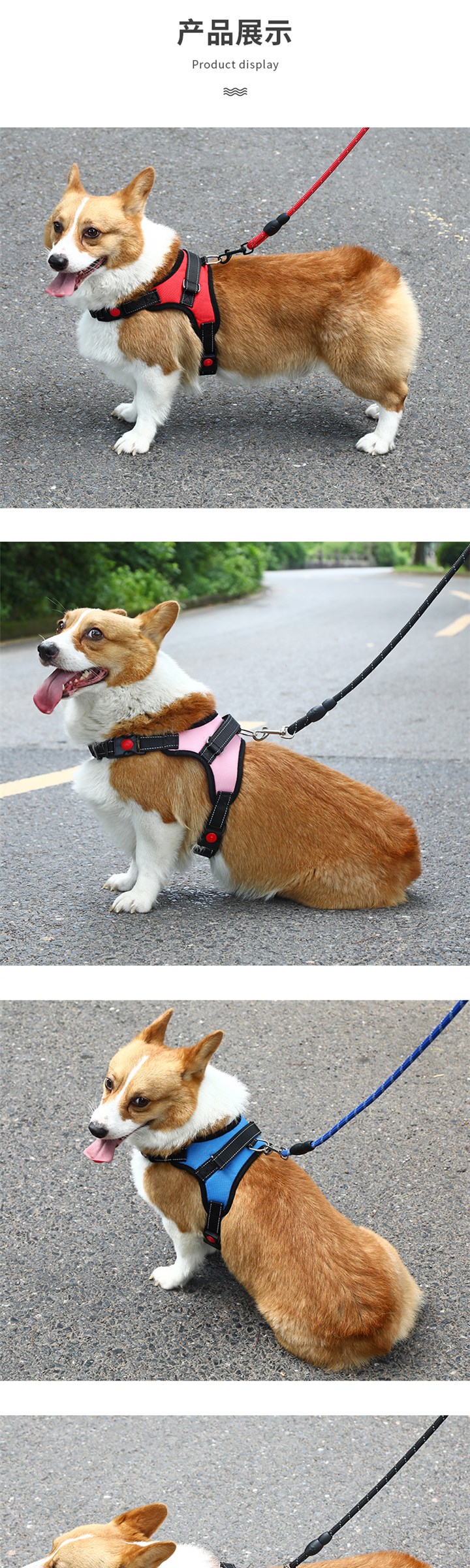 背心式狗狗牵引绳中型小型犬柯基比熊泰迪胸背带幼犬遛狗绳狗链子 - 图2