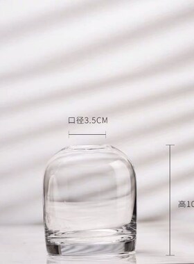 欧式简约花瓶创意INS玻璃花器客厅餐桌小口家居鲜花插花瓶工艺品