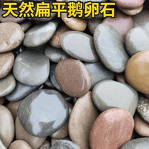 Fish tank View Stone Cobblestone Native natural flat Stone Turtle Tank Sundae decorative stone DIY painted original stone