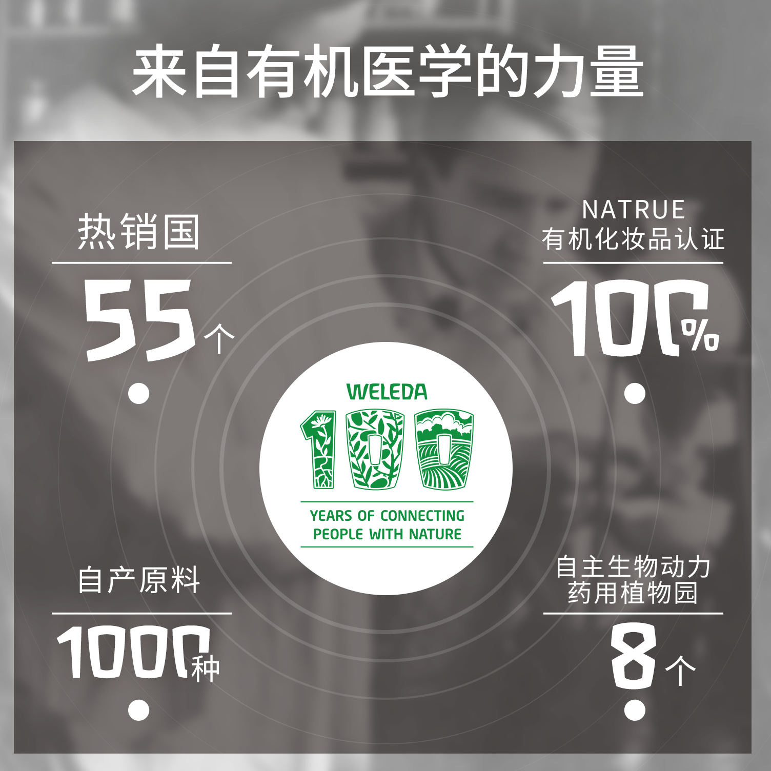 weleda /维蕾德白桦去水肿护肤油 weleda维蕾德美妆海外旗舰基底精油