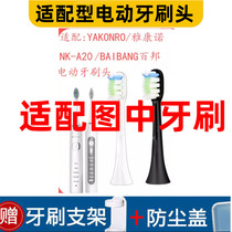 Pleasant to adapt YAKONRO Yakonnos electric toothbrush head NK-A20 replacement head 100 Bian BIBANG