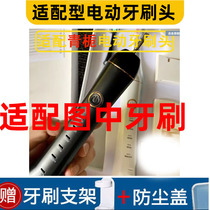 Pleasant plate adapted green gardenia electric toothbrush head gardenia sound wave replacement qtb1101 soft hair toothbrush head