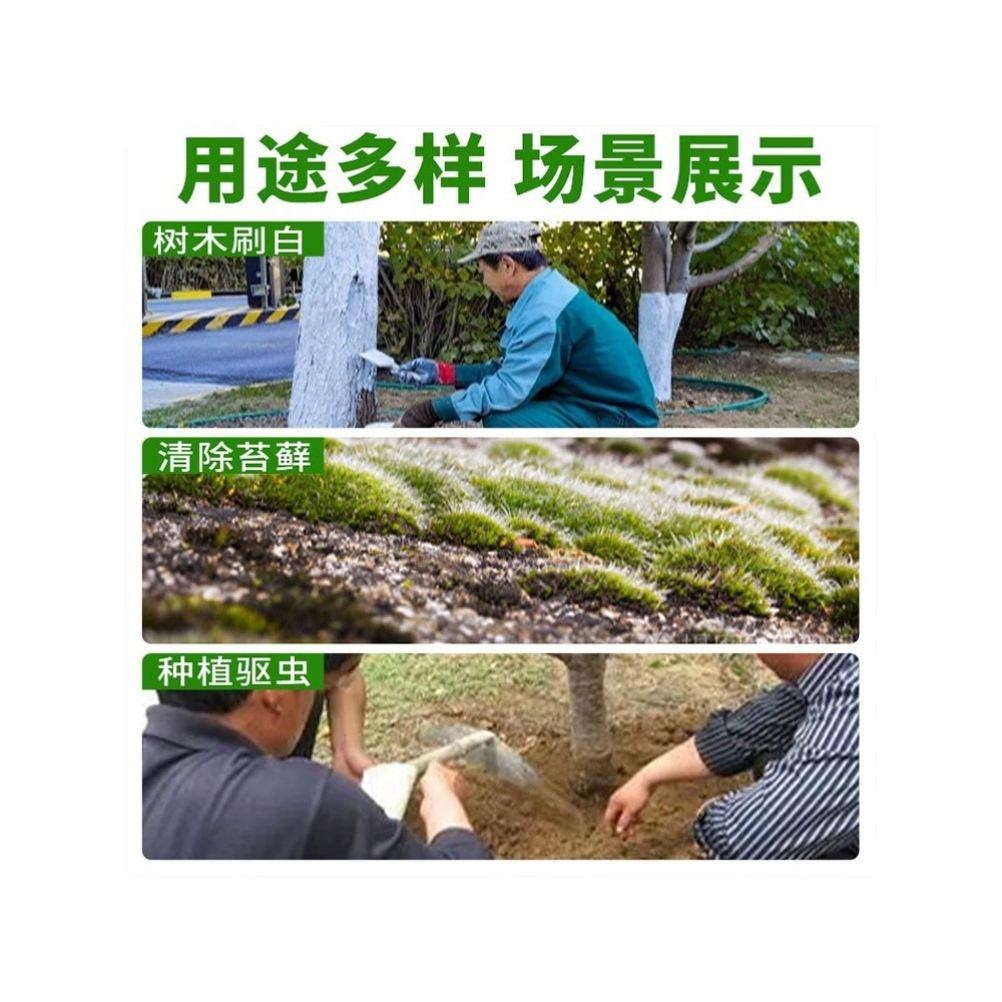 生石灰粉杀虫种菜消毒防潮除湿农家室内用改良土壤刷树木白干燥剂 - 图2