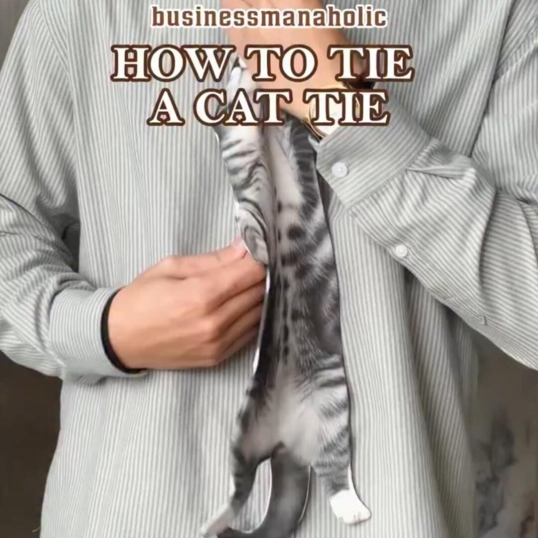 【脖子上长猫了~】猫咪领带创意小猫图案印花领巾趣味设计感领结,淘宝优惠券,粉丝福利购,淘宝优惠卷