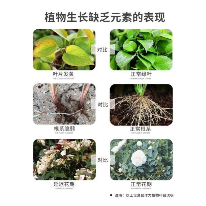 【拍1发10】根系一包壮中古花卉植物花盆栽种苗快速促生根通用型