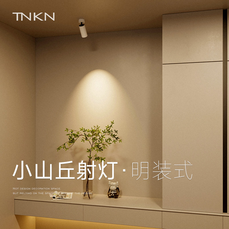 明装清晰小山丘射灯斜顶调角度单头折叠可旋转餐厅客厅沙发背景墙,淘宝优惠券,粉丝福利购,淘宝优惠卷