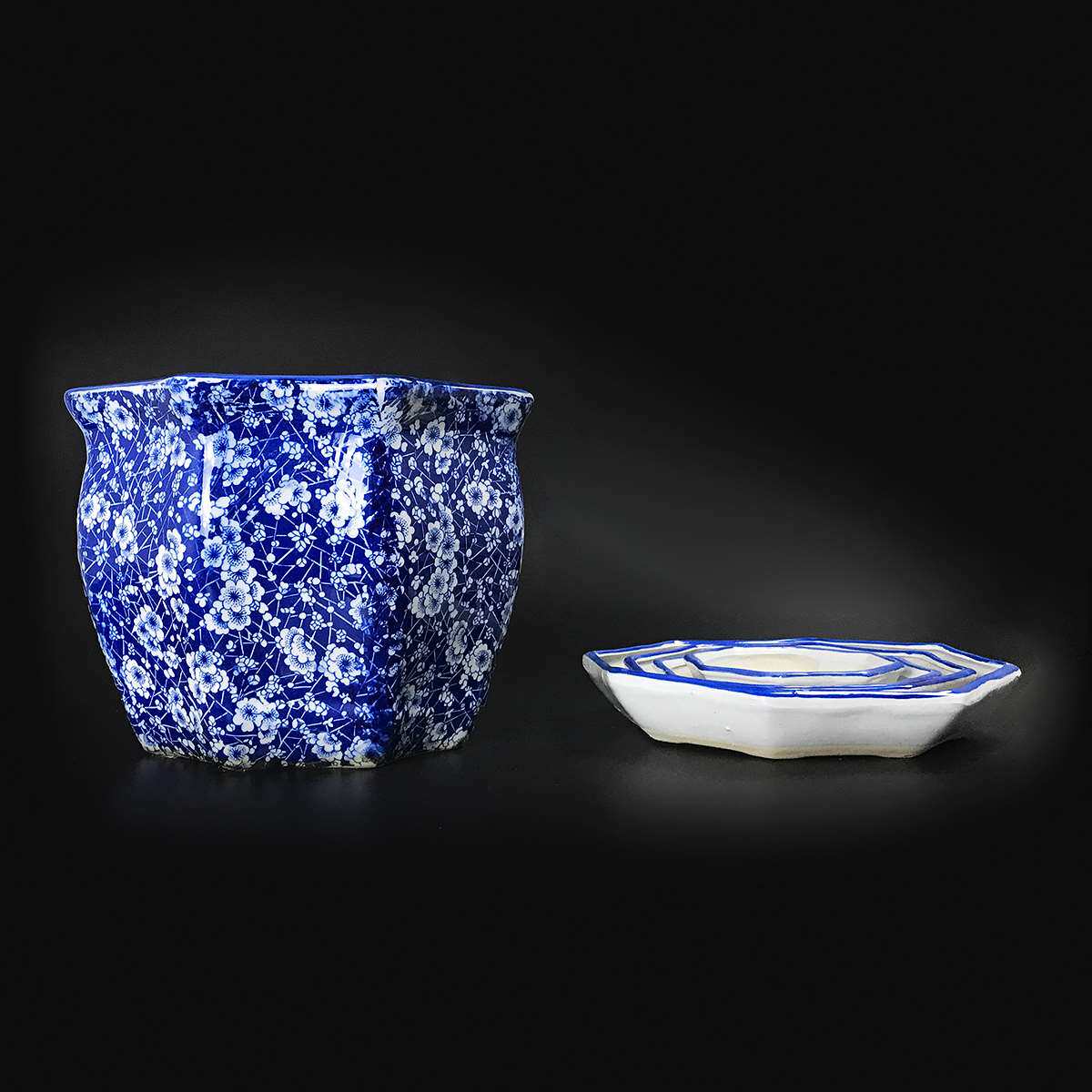 冰梅多肉 新人首单立减十元 21年8月 淘宝海外