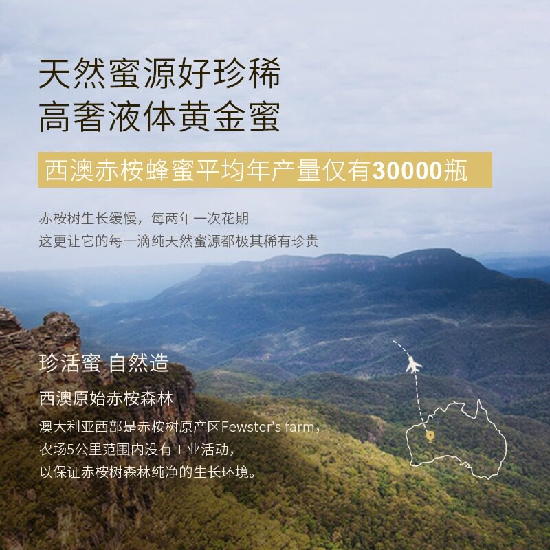  菲斯特农场蜂蜜
