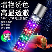 Fish tank lamp led waterproof seven color discoloration aquarium floodlight diving red dragon lamp with bright and bright LED water straw lamp