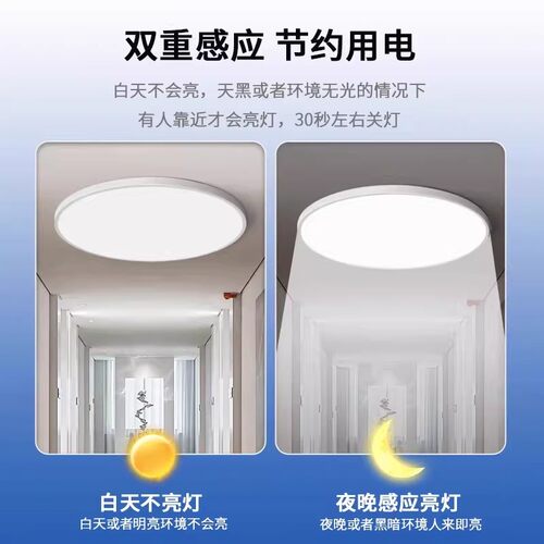 国际电工雷达自动人体感应小尺寸吸顶灯走廊过道楼梯入户声光控灯 - 图1