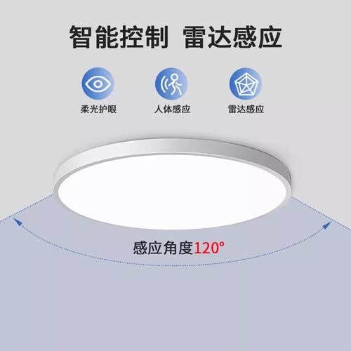 国际电工雷达自动人体感应小尺寸吸顶灯走廊过道楼梯入户声光控灯 - 图0