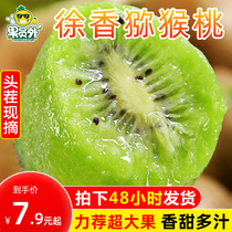 Shaanxi Zhengzong Xu Xiangqi Exotic Fruits Fresh Fruits When Season Whole Boxes Kiwi Fruit Should Season Miya Peach Kiwi