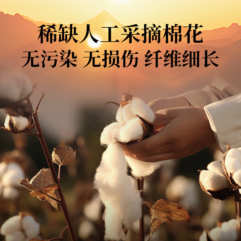 LimerenceA类100支埃及棉四件套双股纯棉床单床笠埃及长绒棉床品,淘宝优惠券,粉丝福利购,淘宝优惠卷