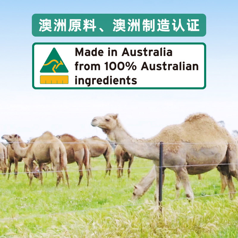 maxinatal骆驼奶粉进口澳洲大金罐 maxinatal驼奶及驼奶粉