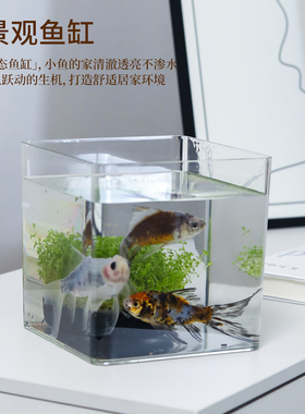 正方形透明盒方盒方形收纳盒子水养花盆塑料仿亚克力花瓶桌面花盆
