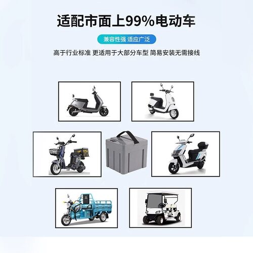 20A电动车锂电池替换铅酸电瓶48V三元锂电瓶车通用大容量星恒同款 - 图0