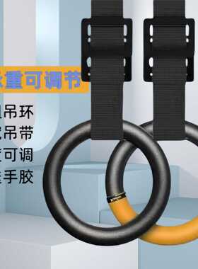 健身吊环家用引体向上训练器材加粗加厚可调节承重1000斤送手胶
