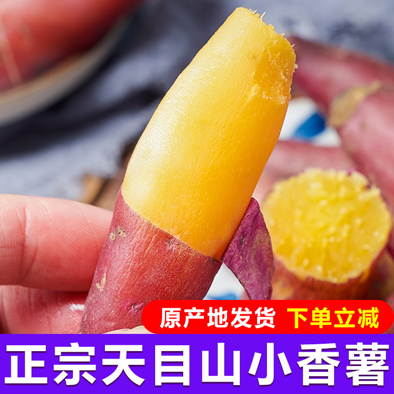 正宗临安天目山小香薯新鲜板栗红薯 柒小胖番薯