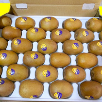 (Gift Boxes) Shunfengs homegrown golden fruit chic exotic fruit fresh pregnant woman with yellow heart kiwifruit