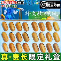 Guizhou manicure kiwi goosebumps with kiwi fruit fresh fruit 5 catties of extra-large fruit chic echemy green heart pregnant woman