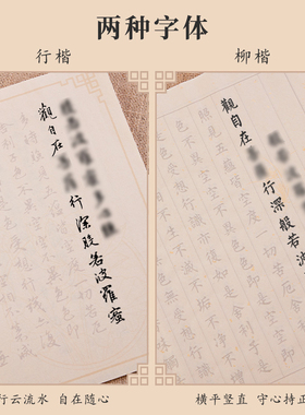 抄经本行书书法作品纸