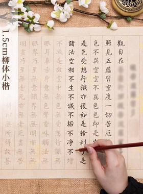 静心手抄经临摹般若菠萝蜜多心抄经本行书临摹抄经卷书法小楷字贴