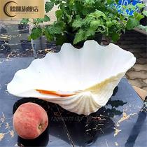 White Shells Fruit Pan Oversized Decorative Pendulum Piece Creative Home Swing Ware Container Smoky cylinder featured Seafood Dish tray