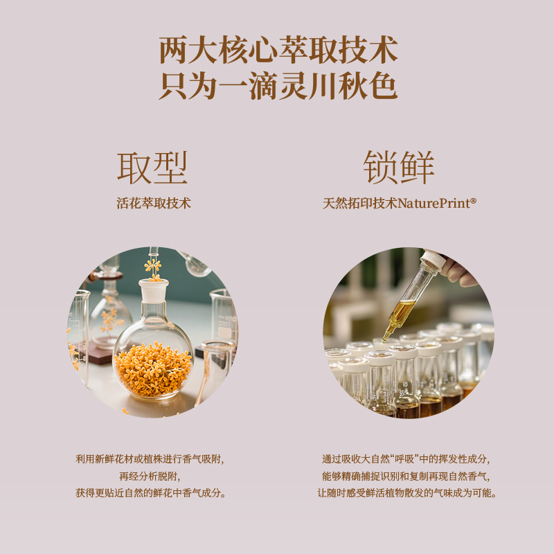 [新品上市]CITTA西苔灵川金桂无火香薰桂花香氛家用室内高级礼物 - 图1