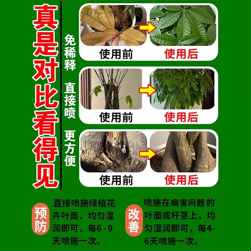 发财树专用营养液叶子发黄掉叶黄叶枯叶烂根肥料抑菌剂白斑杀虫剂,淘宝优惠券,粉丝福利购,淘宝优惠卷