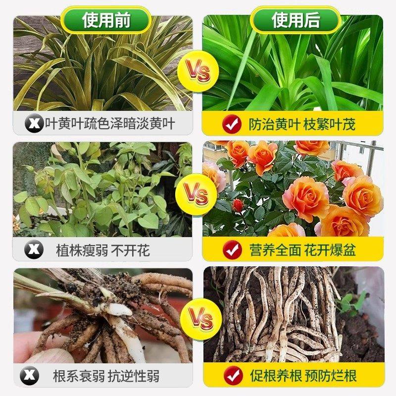 硫酸亚铁肥料花卉专用水溶肥柠檬酸通用型营养液栀子花铁树防黄叶,淘宝优惠券,粉丝福利购,淘宝优惠卷