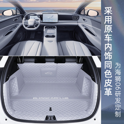 比亚迪海狮06ev后备箱垫全包围海狮06dmi尾箱垫汽车内改装饰用品 - 图0