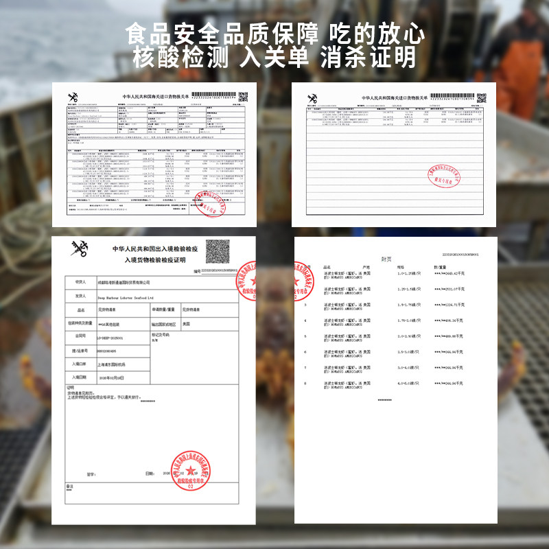 俄罗斯进口帝王蟹鲜活冷冻特大无损皇帝蟹帝皇蟹新鲜礼盒超大螃蟹