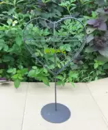 心形多肉植物 新人首单立减十元 21年7月 淘宝海外