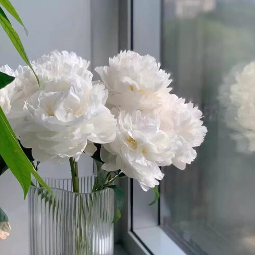 顺丰-落日珊瑚芍药鲜花进口芍药花卉夏威夷珊瑚粉变色珊瑚3月底发 - 图2