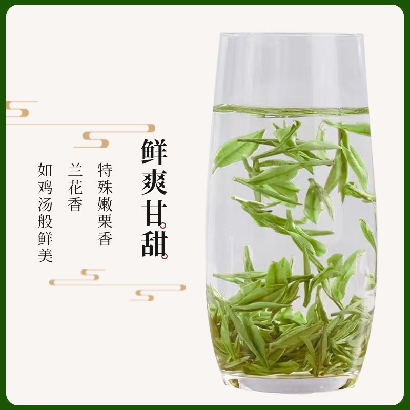 正宗安吉白茶 2023新茶正宗明前特级高端礼盒装 100g_虎窝淘