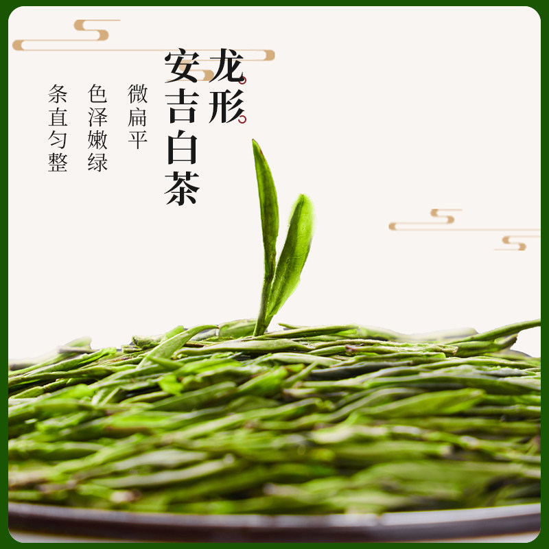 正宗安吉白茶 2023新茶正宗明前特级高端礼盒装 100g_虎窝淘