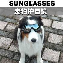 Dogs Eyewear Goggles Dog Sunglasses Windproof Gold Hairy Teddy Kiri Photo Props Exclusive Pet Sunglasses