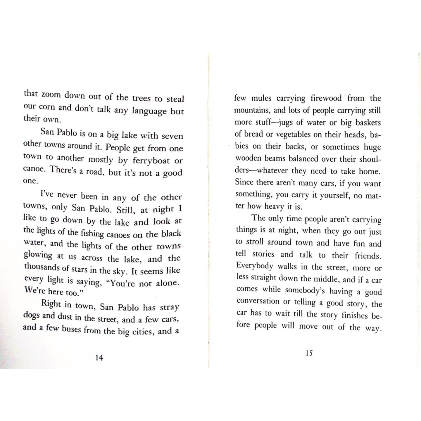 英语原版书牛眼图书系列世界上最美丽的地方小学生适读绘本美国儿童图书协会奖作品安卡梅伦著托马斯B艾伦绘讲述危地马拉男孩的 - 图1