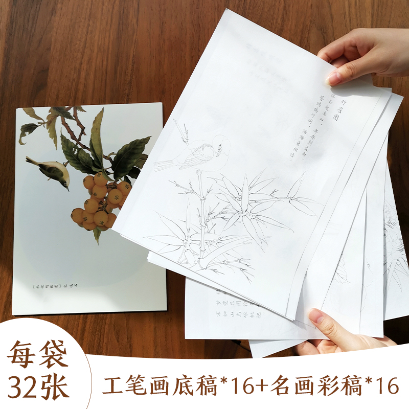 工笔画描摹设色 古画晴鸾帖 工笔设色线描画集 宋画花鸟画白描底稿 国画临摹画册 画画入门自学零基础 工笔画入门教材书