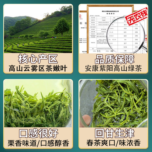 绿茶2024年新茶叶浓香型紫阳富硒绿茶500g高山云雾陕西安康炒青-图3