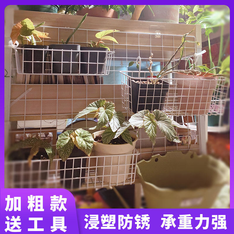 铁艺网格多肉植物花架多层盆栽置物架阳台壁挂蝴蝶兰花盆专用花架,淘宝优惠券,粉丝福利购,淘宝优惠卷