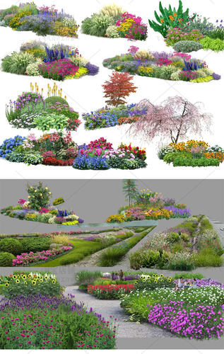 公园庭院花园花镜花境植物组团ps效果图花海花草组合psd分层素材-图0