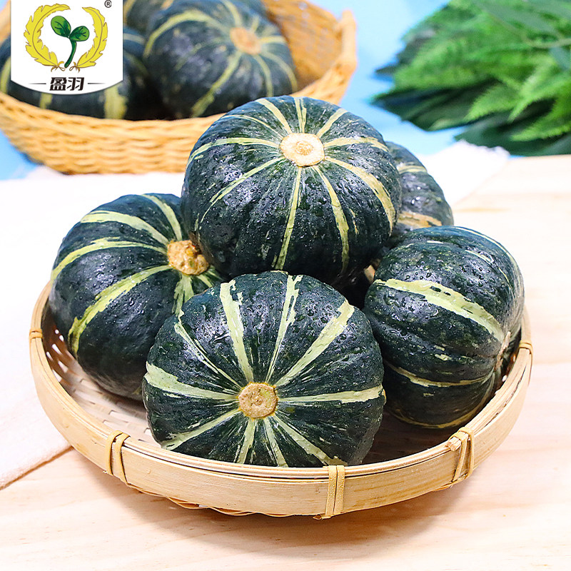 【盈羽】山东真贝贝南瓜新鲜小南瓜板栗味粉糯香甜5斤包邮